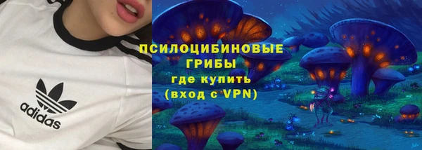 крисы Баксан