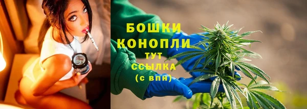 крисы Баксан