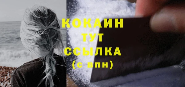 крисы Баксан