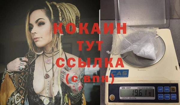 крисы Баксан