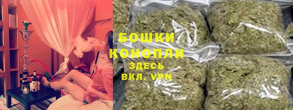 крисы Баксан
